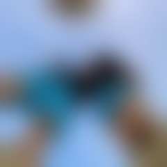 Foto difuminada