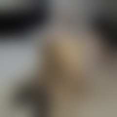 Foto difuminada